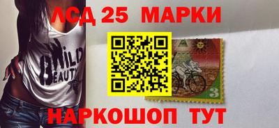 гидра Новозыбков