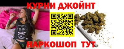 гидра Новозыбков