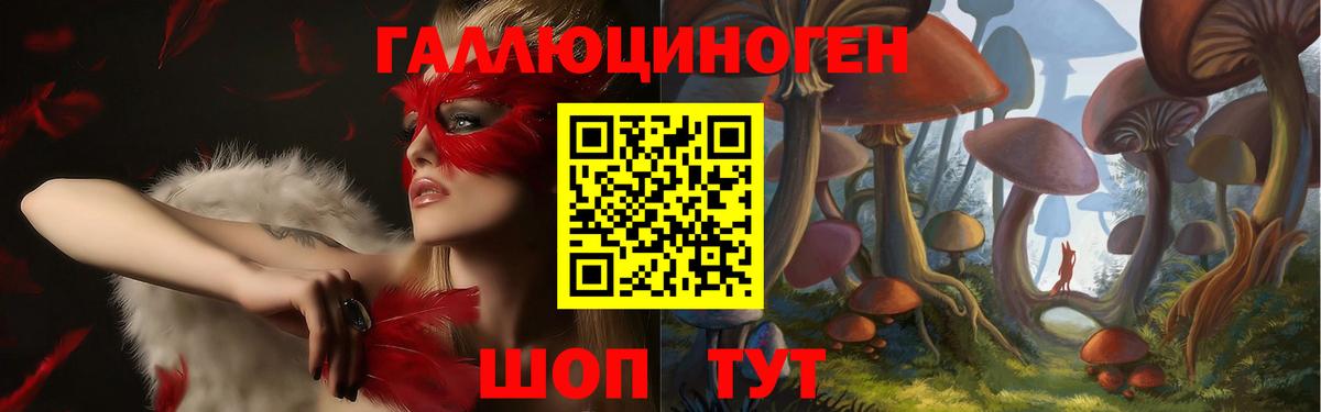 Псилоцибиновые грибы GOLDEN TEACHER Углич